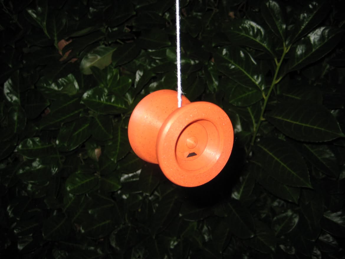 Canopy 3D